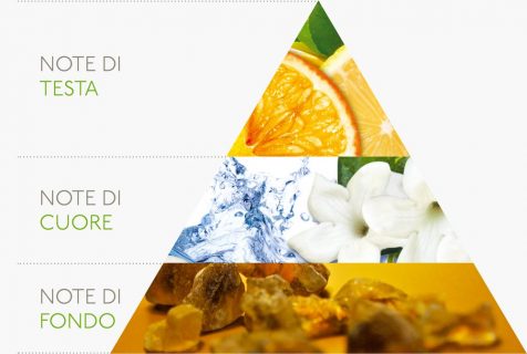 Piramide olfattiva profumi bio